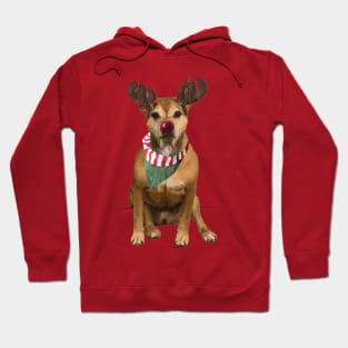 Dog with Reindeer Antlers Hoodie